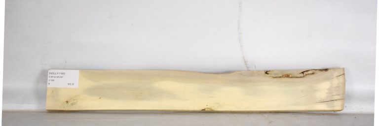 HOLLY1185_1