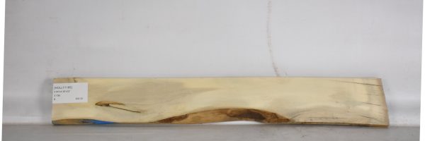 HOLLY1185_2