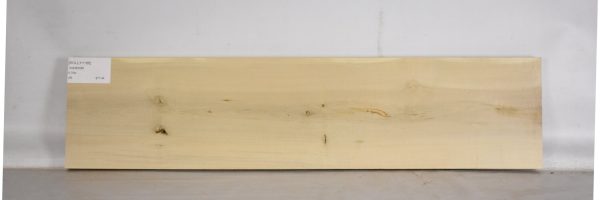 HOLLY1186_1