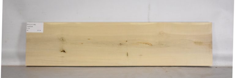 HOLLY1186_1