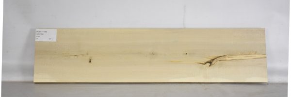 HOLLY1186_2