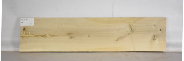 HOLLY1187_1