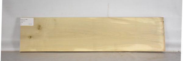 HOLLY1188_1