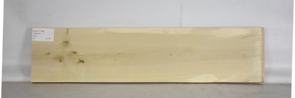 HOLLY1188_2