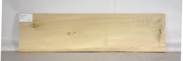 HOLLY1189_1