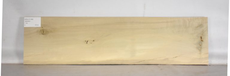 HOLLY1189_1
