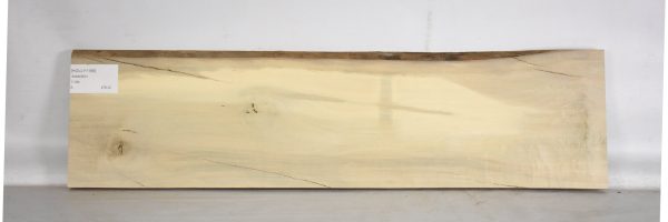 HOLLY1189_2