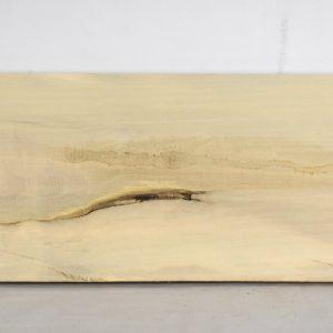 HOLLY1190_1