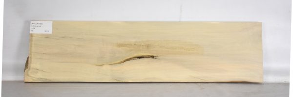 HOLLY1190_1