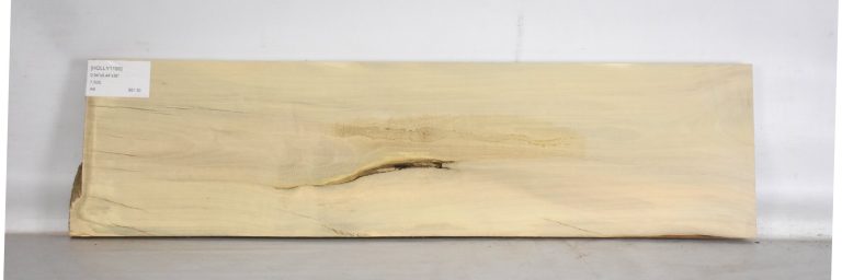 HOLLY1190_1
