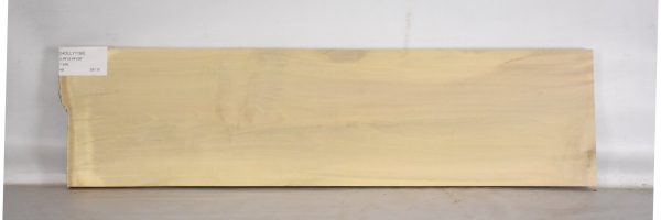HOLLY1190_2