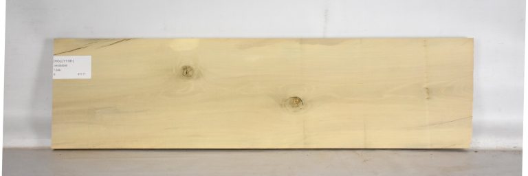 HOLLY1191_1