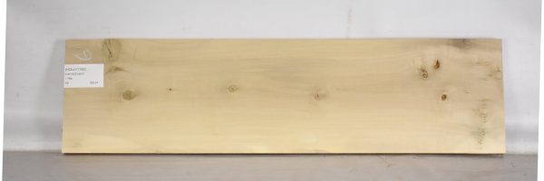 HOLLY1192_1