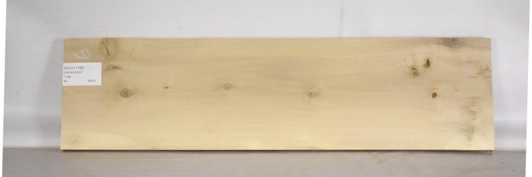 HOLLY1192_1