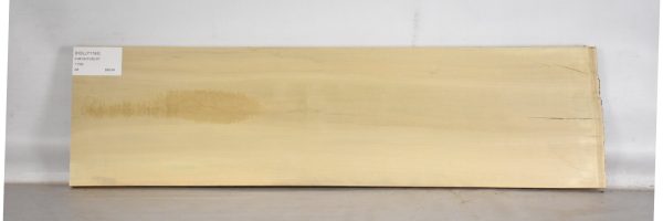 HOLLY1193_2