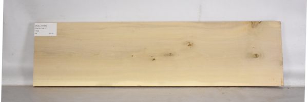 HOLLY1194_1