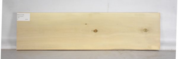 HOLLY1194_2
