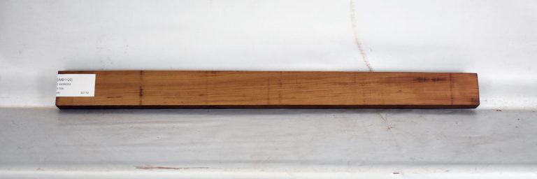 IMB1120_1