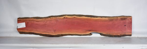 IVRED1128_2