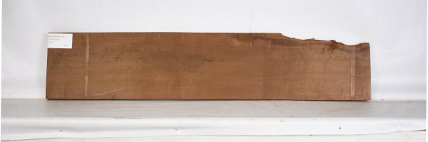 MAPBEHR1157_1