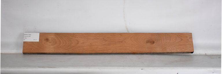 SIPO1160_1
