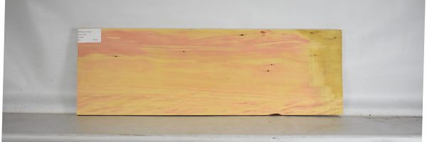 YROSA1004_1
