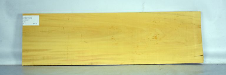YROSA1025_1