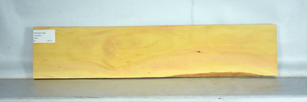 YROSA1028_2