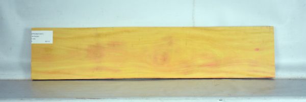 YROSA1031_2