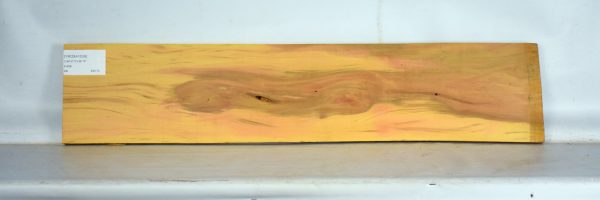 YROSA1039_2