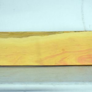 YROSA1040_1