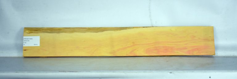 YROSA1040_1