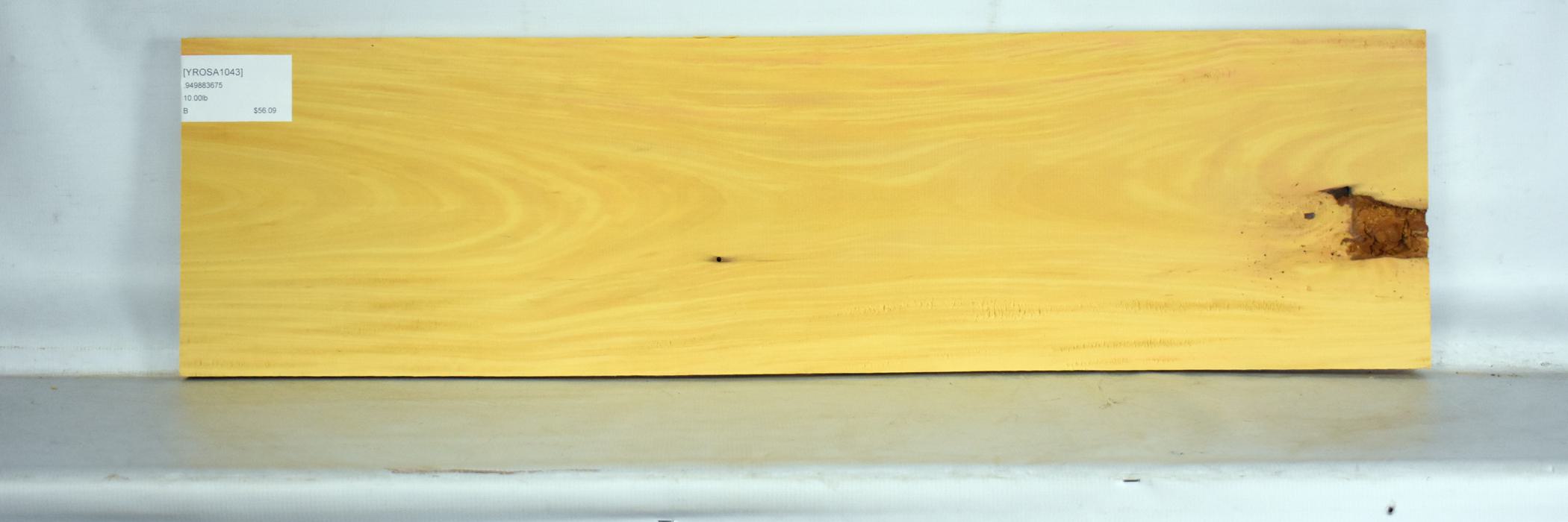 Yellow Rosa 2 YROSA1043_2