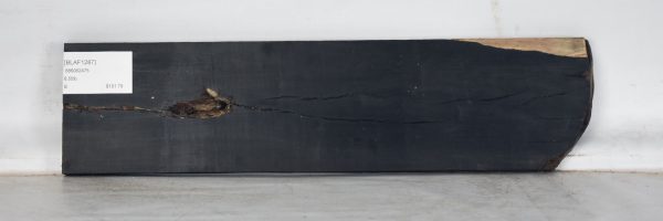 BLAF1287_2