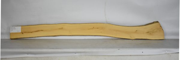 BOX1555_2