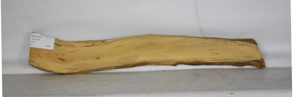 BOX1557_1