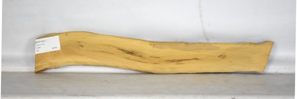 BOX1557_2