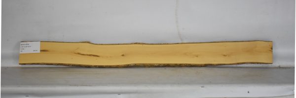 BOX1559_2