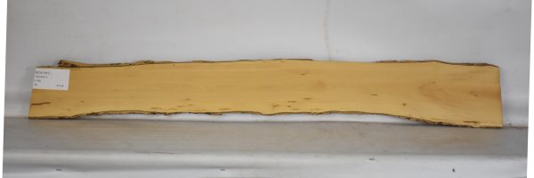 BOX1561_1