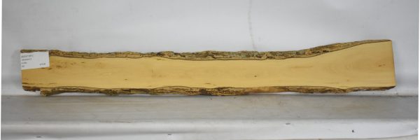 BOX1561_2