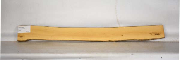 BOX1564_1