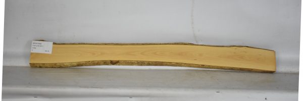 BOX1564_2