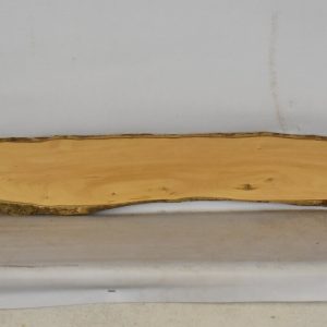 BOX1565_1