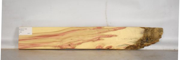BOXELF1155_2