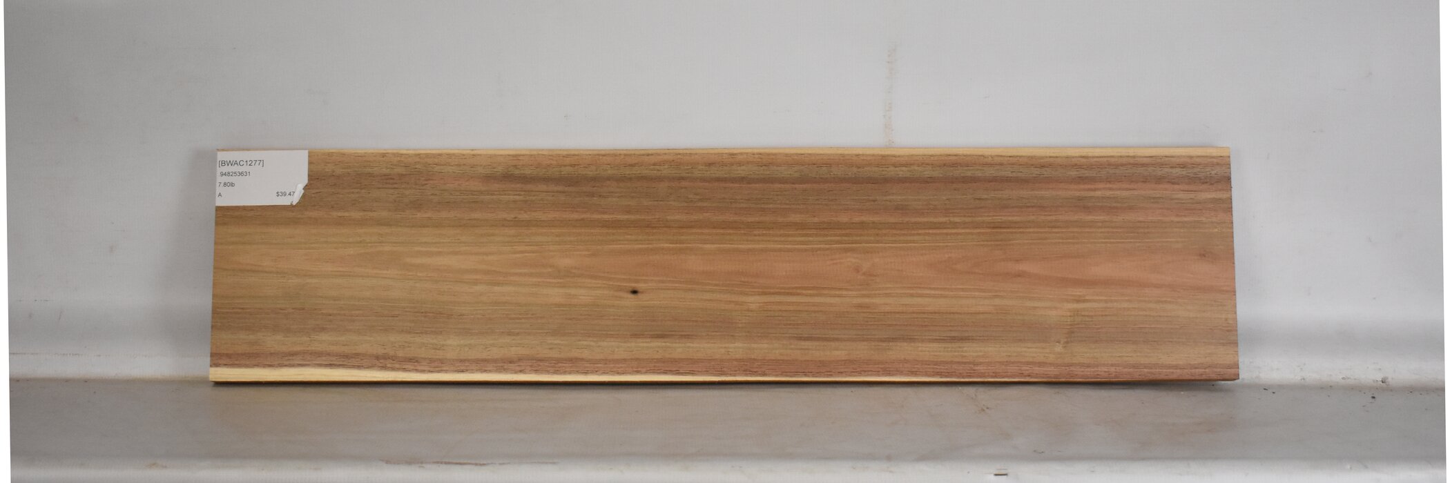 Blackwood - Acacia 2 BWAC1277_2