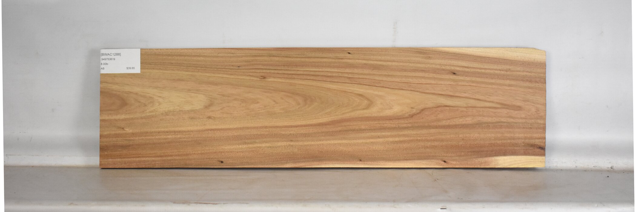 Blackwood - Acacia 2 BWAC1288_2