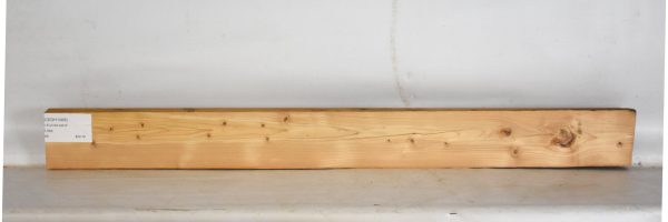 CEDH1088_1