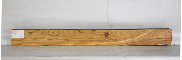 CEDH1092_1