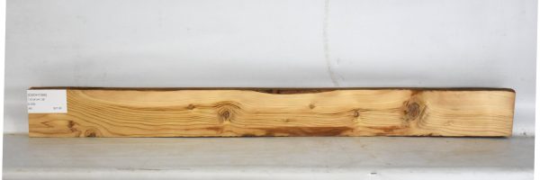 CEDH1095_2