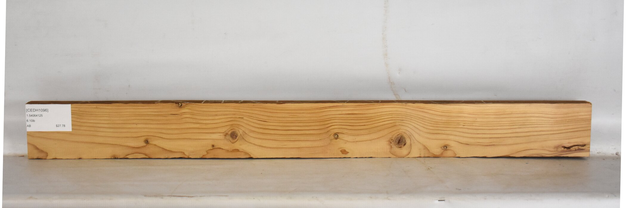 Cedar - Himalayan 2 CEDH1096_2